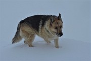 42 Godiamoci neve con nebbia sulla cresta  per la vetta!